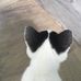 Sydney Davey - Facebook