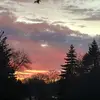 sydneydawson80 - @edits..by..me100 - TikTok