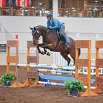 Sydney Day - @day.equine - Instagram