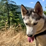 Sydney Deaver - @sydney.deaver - Instagram