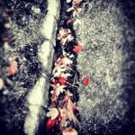 Sydney dejesus - @poetorsent - Instagram
