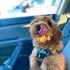 sydney diaz - @mrteddybaby_ - TikTok