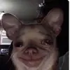 Sydney Dodd - @bananasplithauls - TikTok