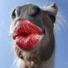 vloggy vlogs🍭 - @sydneydodd3 - TikTok