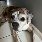 Sydney Donovan - Facebook