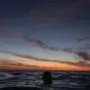 sydneydowd - @dowd.sydney - TikTok