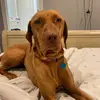 sydney downs - @sydneyd0wns - TikTok