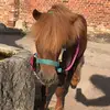 Sydney dufour - @sydney090804 - TikTok