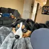 Sydney Dunn - @sydney.dunn7 - TikTok