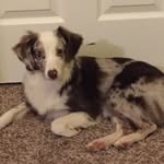 @sydney_dutton__ - Instagram
