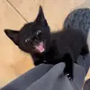Sydney Dyer - @sw08120413 - TikTok