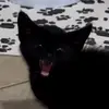 sydneydyerrr - @scwd13579 - TikTok