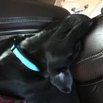 Sydney Eads - @sydeads.543 - Instagram