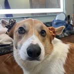 Sydney Eberle - Facebook