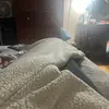 Sidney Isenberg - @sidney.isenberg - TikTok