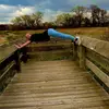 Sydney Elliott - @sydkneeshae - TikTok