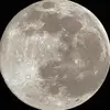 Sydney - @sydney.elliott2 - TikTok