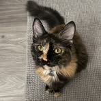 Sydney Ellis - Facebook