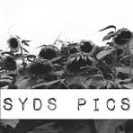 Sydney Elrod - Facebook