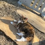 @sydneyhuselton - Instagram