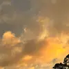 sydney - @sydneyyerin - TikTok