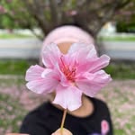 Sydney Estrada - @syrenephotography - Instagram