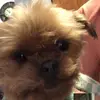 sydneyfaircloth - @sydneyfaircloth - TikTok
