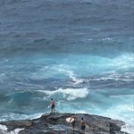Sydney Fine Guiding - @a_month_in_manly - Instagram