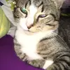 daes favorite 🥰🥰🥰 - @sydney.frederick - TikTok