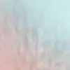 Haley sis - @sydney._.haley._stein - TikTok