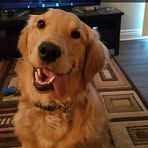 Sydney Holifield - Facebook