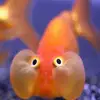 Sydney Keller - @sydney.keller68 - TikTok