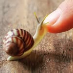 sydney leonard - @snails302 - Instagram