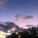 Sydney Lowe - @sydney_lowe_writing_ - Instagram