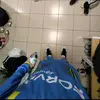 SydneyMalone - @guybaowwfth - TikTok