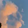 sydney - @sydney.markle - TikTok