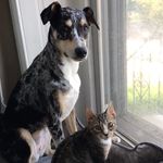 Sydney & Maxwell - @luandsyd - Instagram