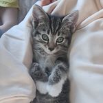 Sydney Maxwell - @sydneythecat22 - Instagram