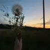 Summertime - @sydney.monroe6 - TikTok