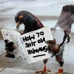 Sydney Pidgeon - Facebook
