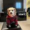 sydney - @sydney_purcell - TikTok