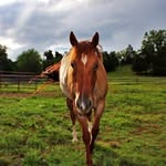 sydney rector - @morgan_photography509 - Instagram