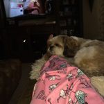 Sydney Sacks - @are_you_sydding_me_ - Instagram