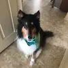 Sydneysingh - @sydneysingh - TikTok