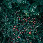 Sydney Stanton - @sydneystanton51 - Instagram