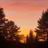 Sydney Stephenson - @sydney.stephenson - TikTok
