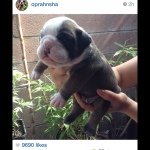 Sydney Stump - @true_love_263 - Instagram