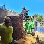 Sydney Wide Stump Grinding - @sydneycitystumpgrinding - Instagram