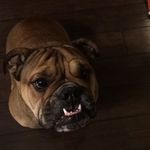 Sydney Tate - @tate_sydney - Instagram
