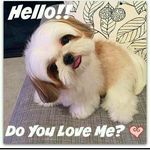 Tracey Sydney de Preety - @traceysydneypreety - Instagram
